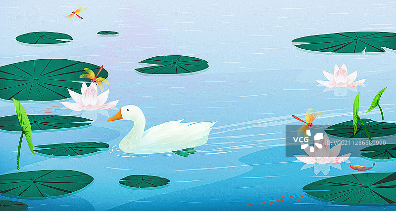 二十四节气大暑池塘风景插画图片素材