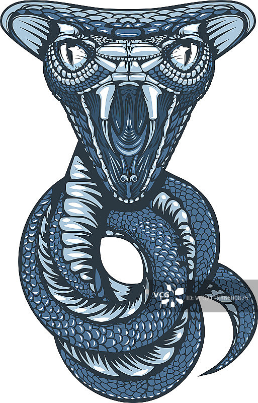 盘绕成圈，准备攻击的眼镜蛇绘画图片素材