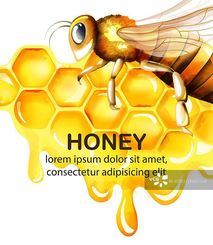 水彩蜂巢与大蜜蜂蜂蜜套装图片素材