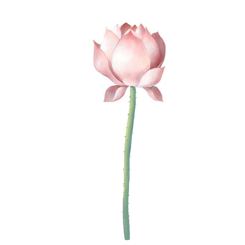 池塘荷花 金鱼 荷叶元素图片素材