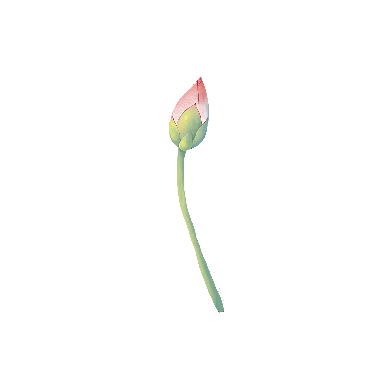 池塘荷花 金鱼 荷叶元素图片素材