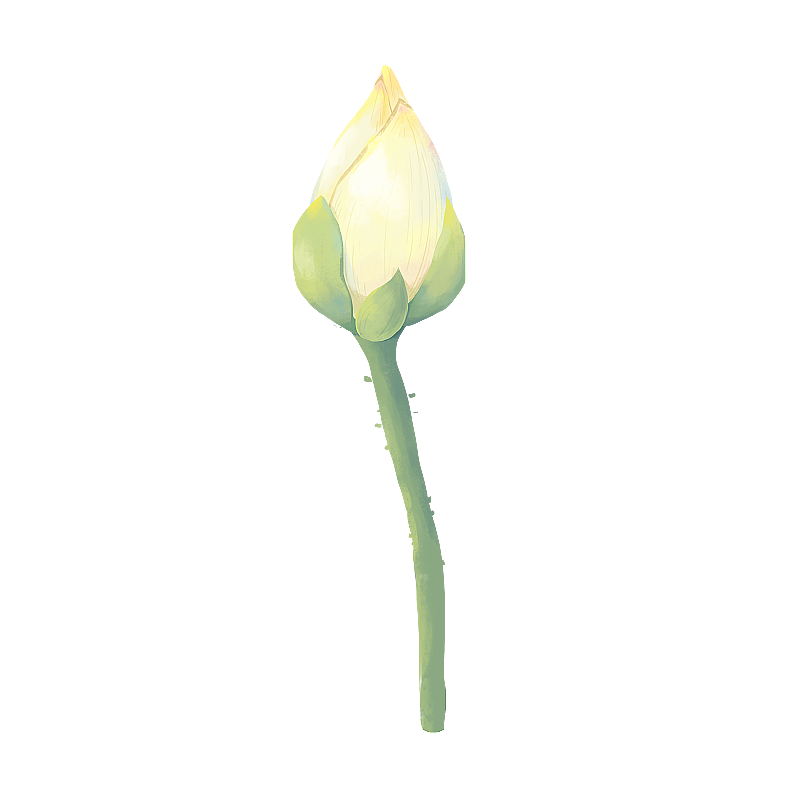 池塘荷花 金鱼 荷叶元素图片素材