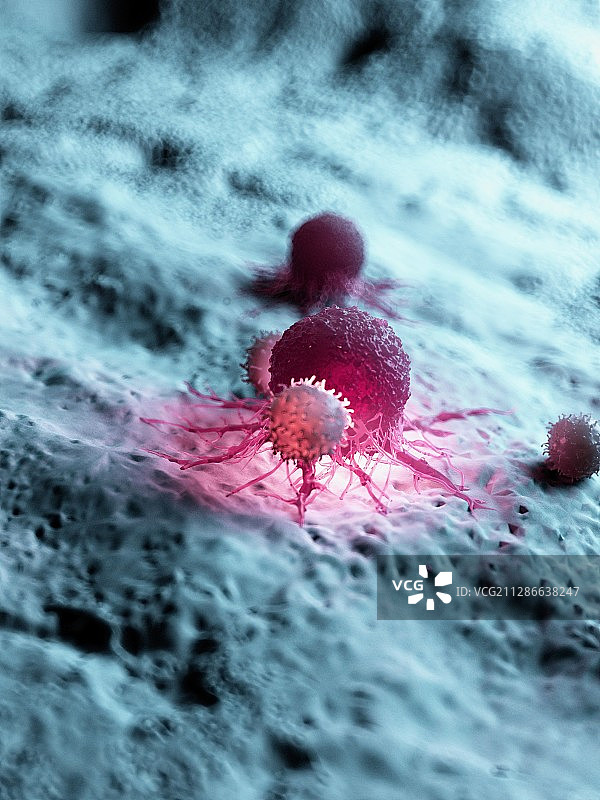 白细胞攻击癌细胞的插画图片素材