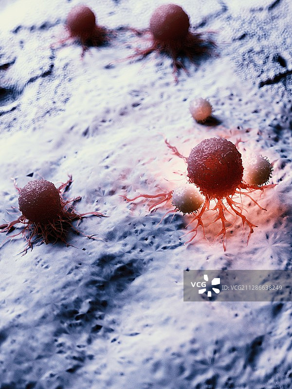 白细胞攻击癌细胞的插画图片素材