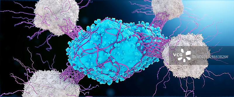 白细胞攻击癌细胞插画图片素材