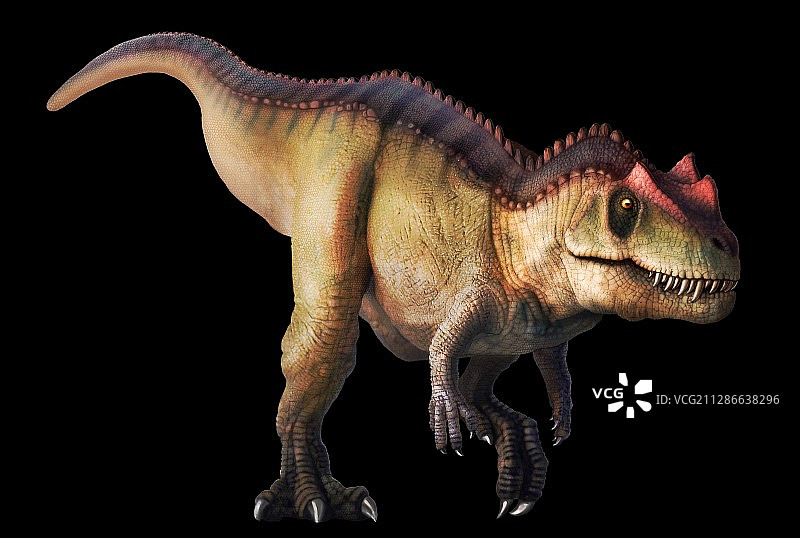 角鼻龙插画图片素材