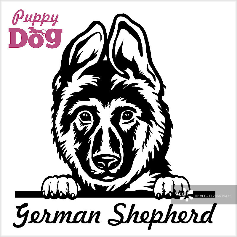 德国牧羊犬小狗- 偷看的狗 - 品种面部图片素材
