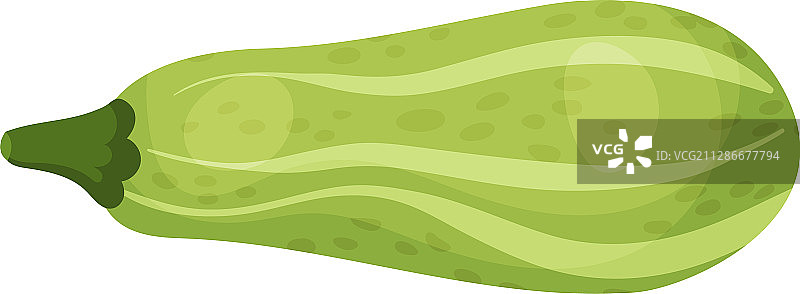 白色背景上孤立的绿色南瓜图片素材