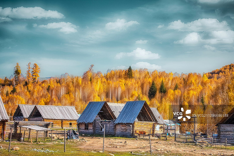 禾木之秋图片素材