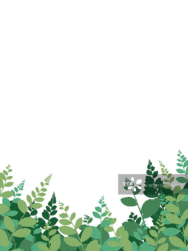 植物-爬藤-夏季图片素材