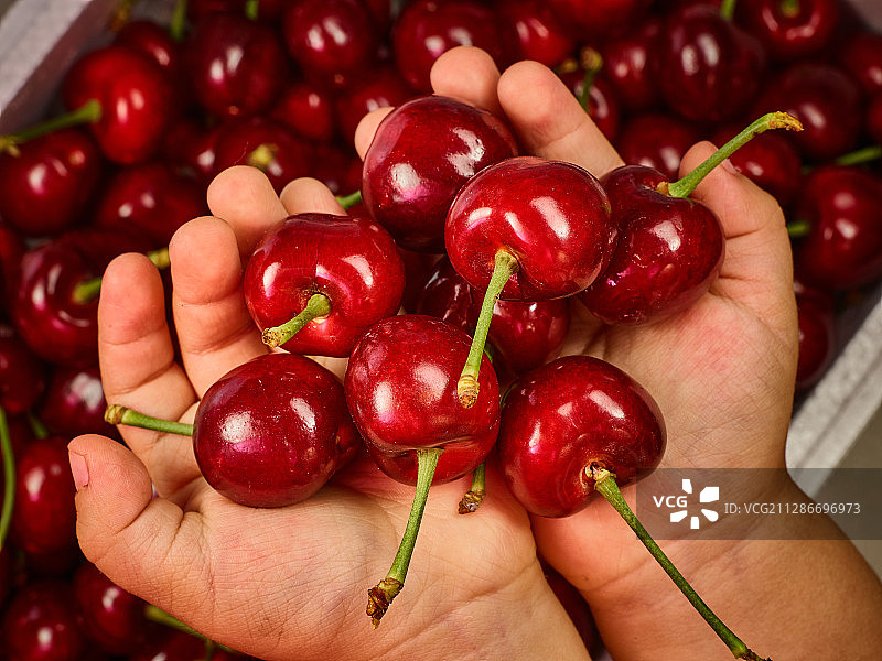 车厘子（美早大樱桃）图片素材