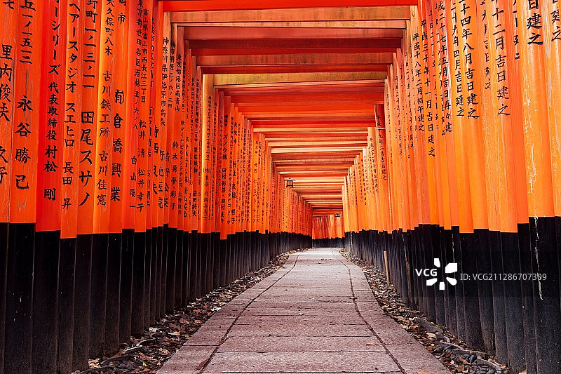 千本鸟居图片素材