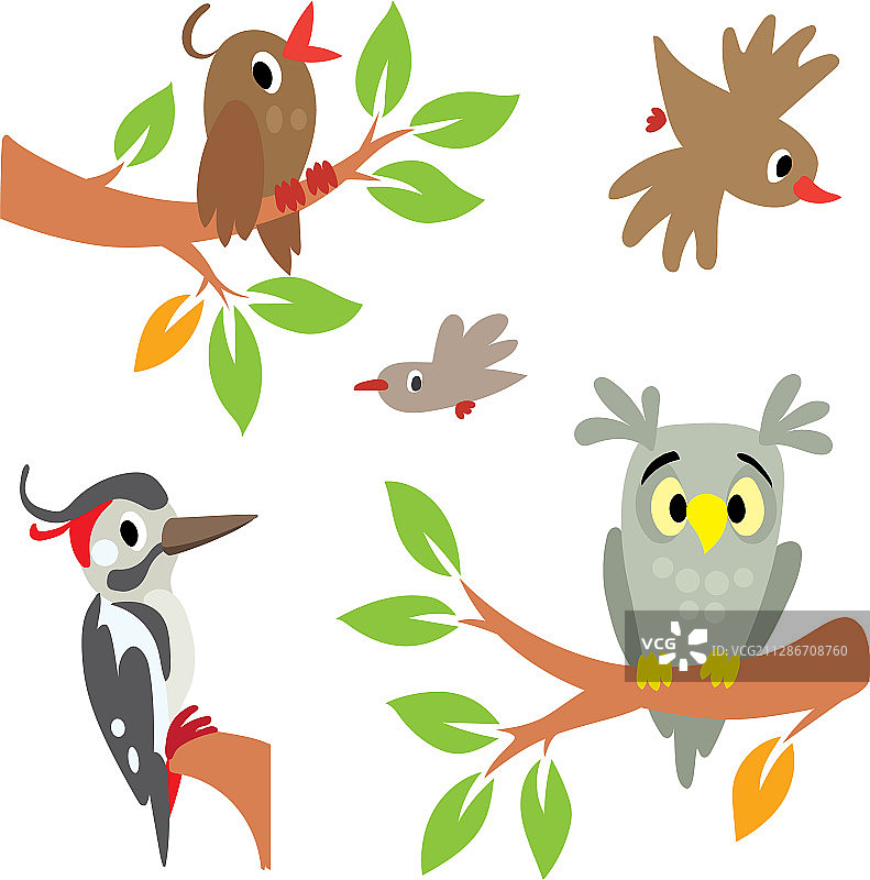 猫头鹰、啄木鸟等鸟类合集图片素材