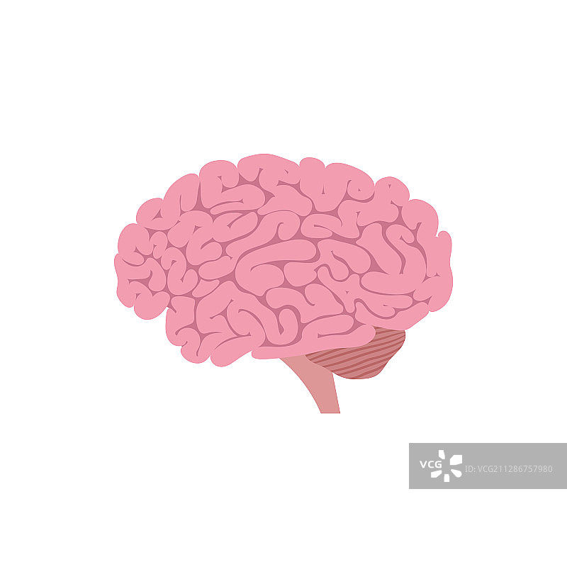 扁平风格大脑插画设计图片素材