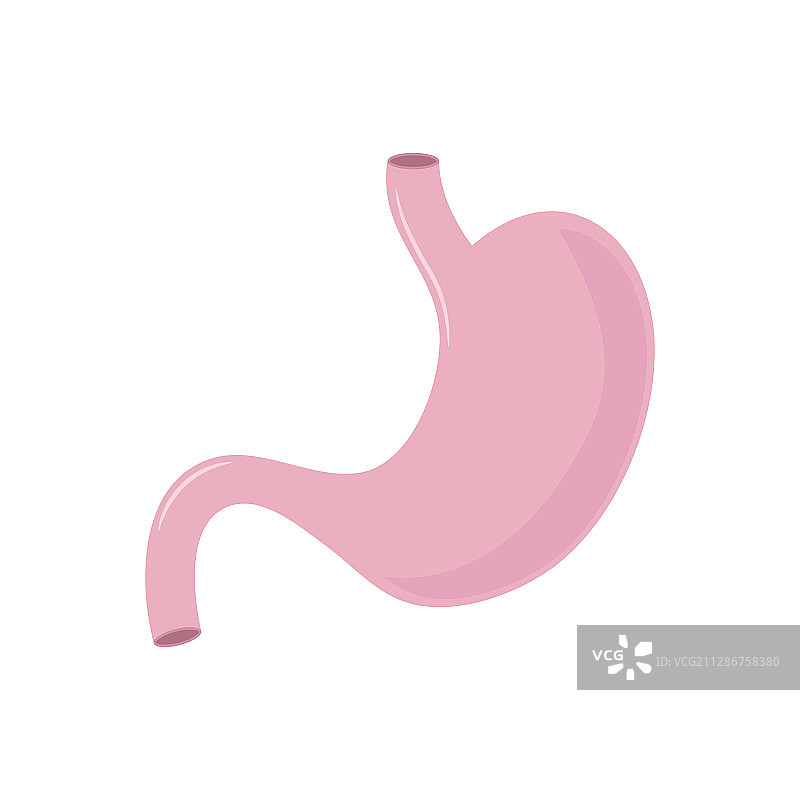 胃部扁平化设计图片素材