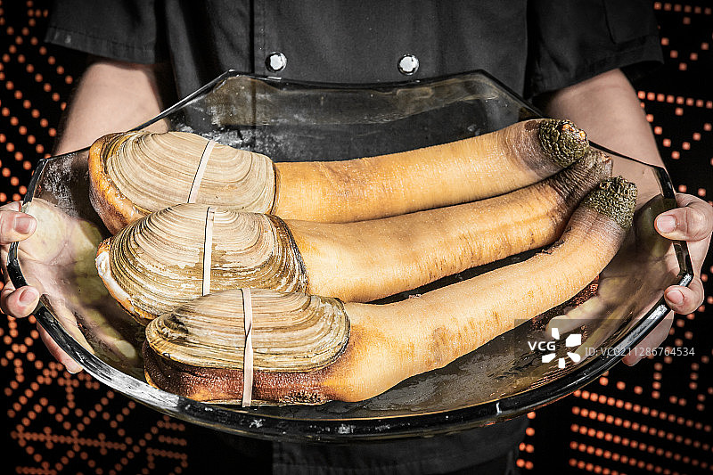 象拔蚌图片素材