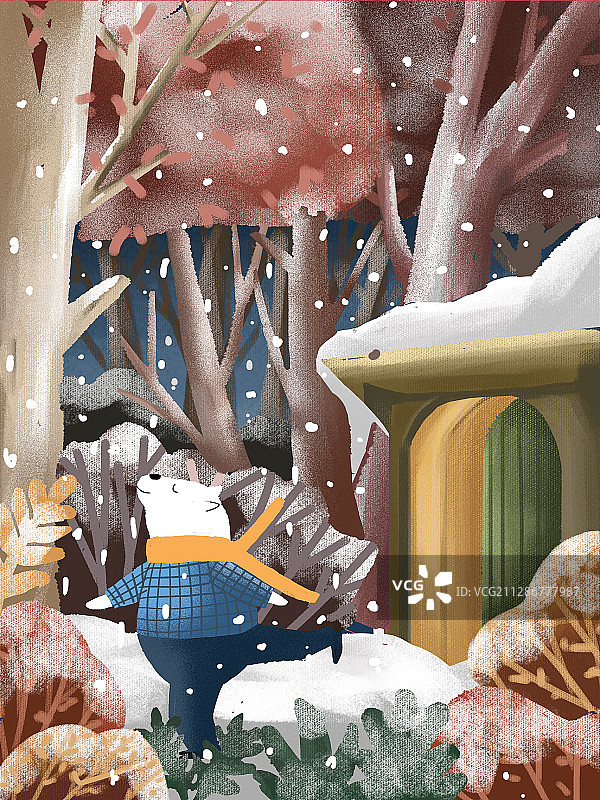 冬天的熊图片素材