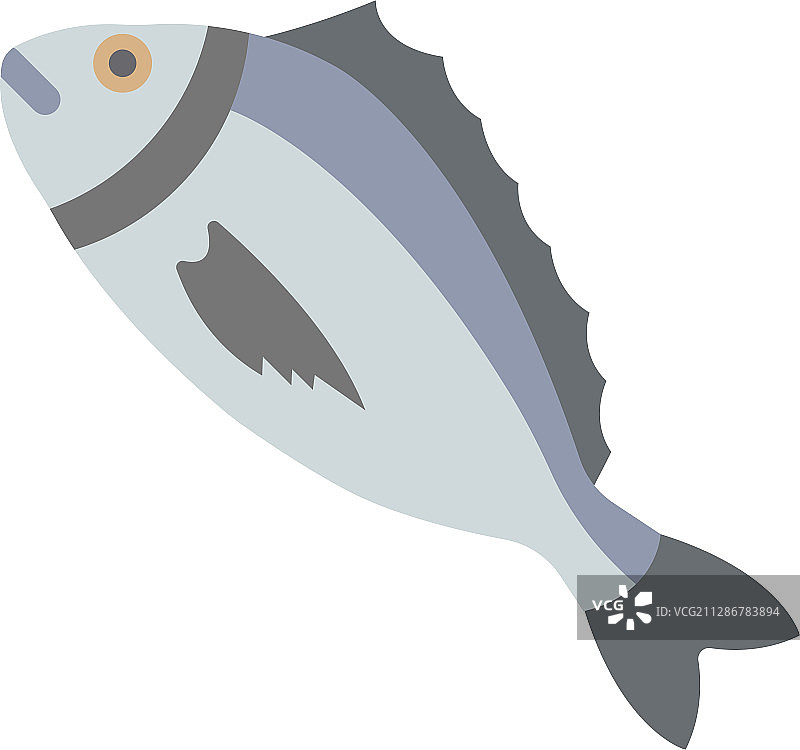 海豚鱼图片素材