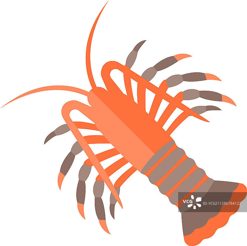 多刺龙虾图片素材