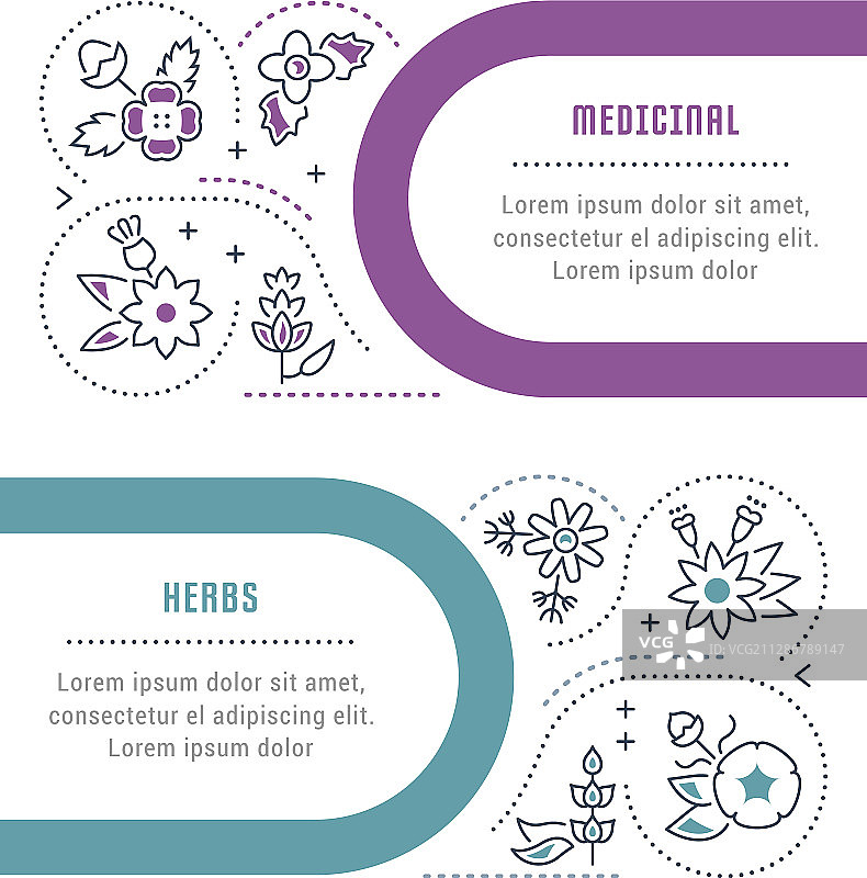 药用草本植物网站banner和着陆页图片素材