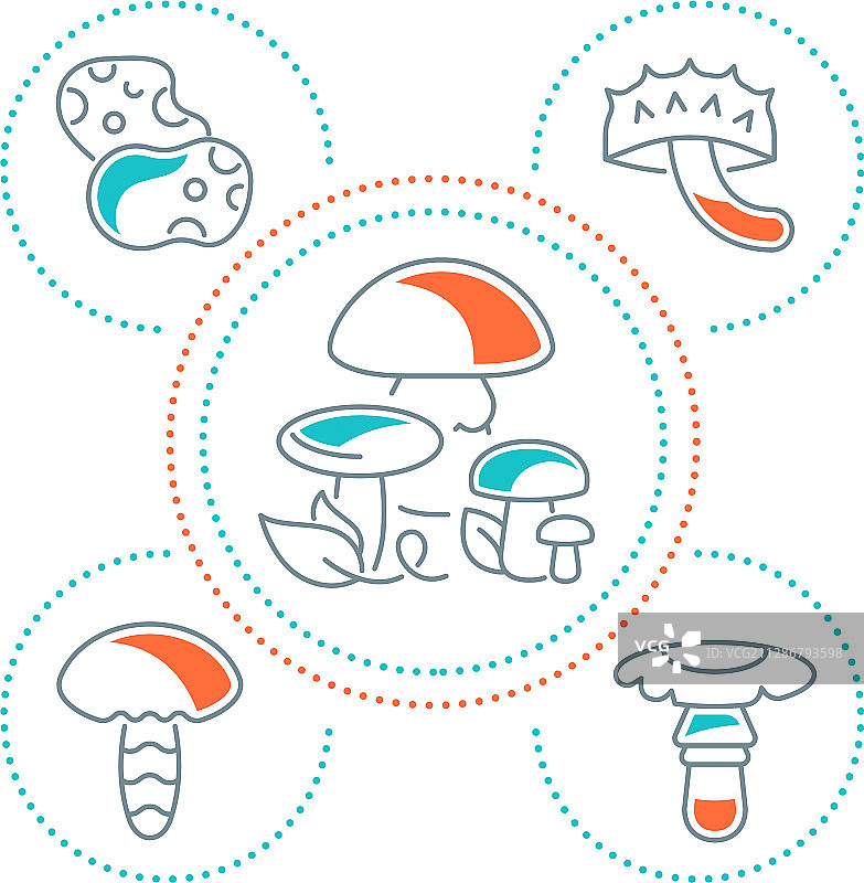 网站banner和着陆页蘑菇图片素材