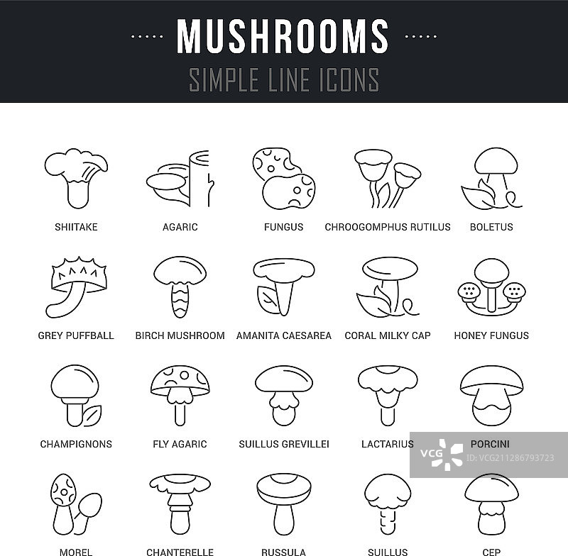 蘑菇线性图标合集图片素材