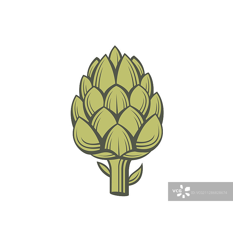 朝鲜蓟蔬菜图片素材