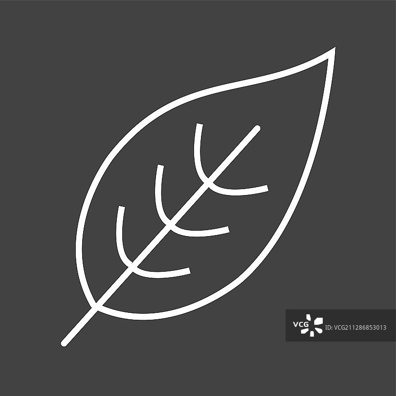 独特叶子线条图标图片素材
