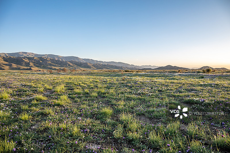 草原公路汽车广告背景图图片素材