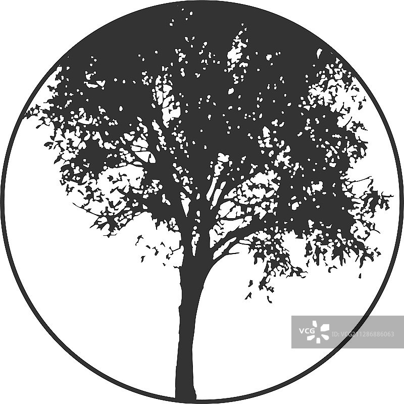 树木标志模板图片素材