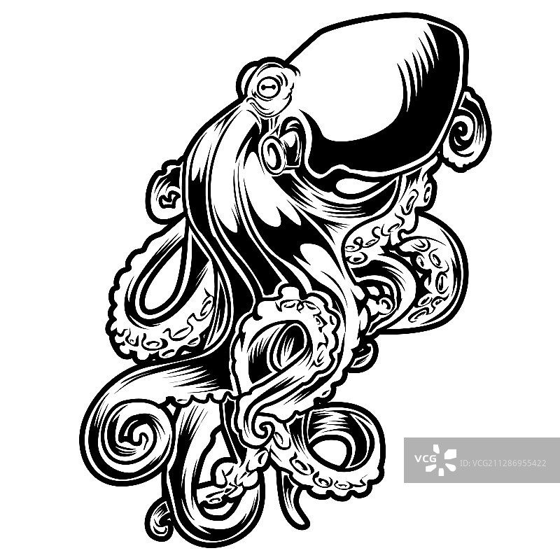 黑白章鱼简笔画图片素材