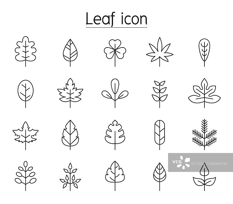 细线条风格树叶图标集图片素材