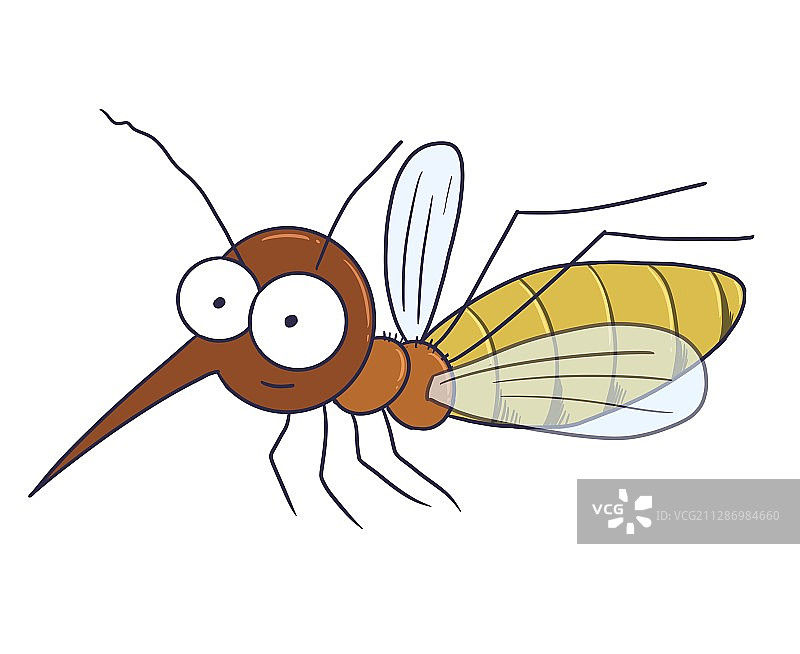 插画：手绘蚊子图片素材