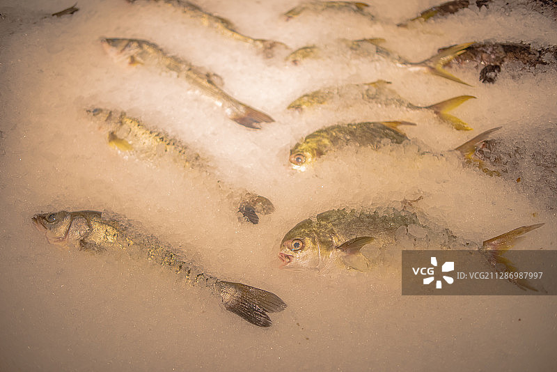 近拍水果蔬菜食物冷藏食品，冰鲜鱼，商场内部，超市图片素材