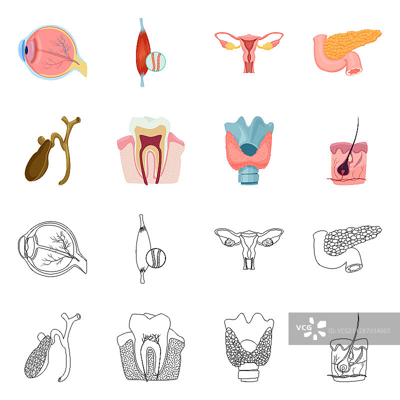 人体轮廓logo图片素材