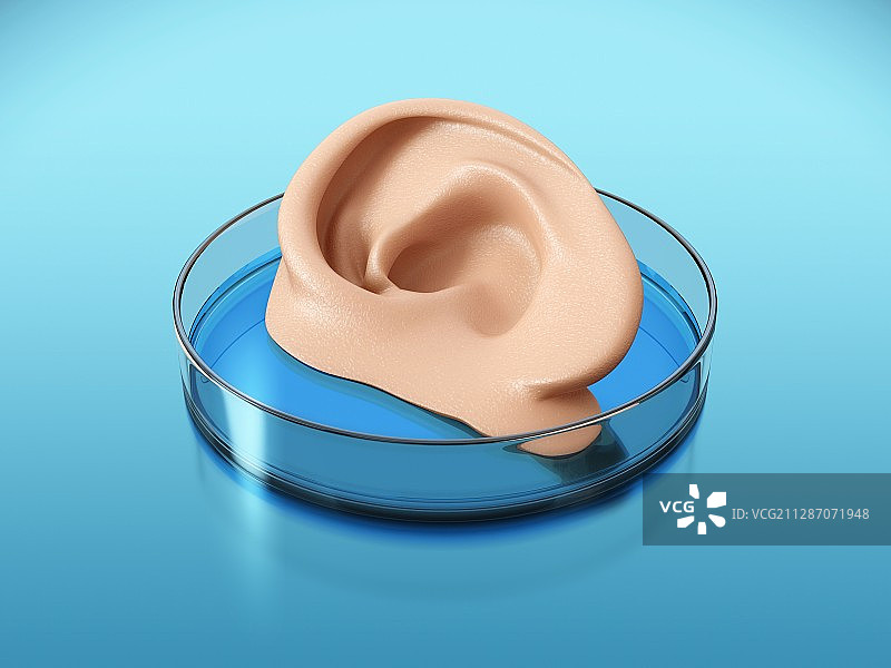 人造人耳插画图片素材