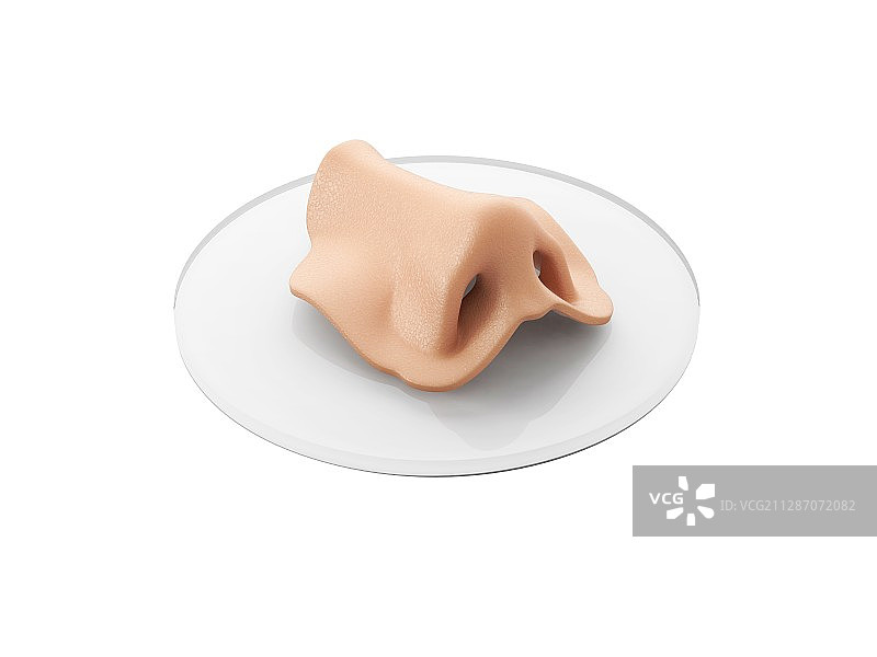 人体鼻子生物打印图片素材