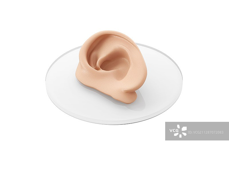 人耳生物打印插画图片素材