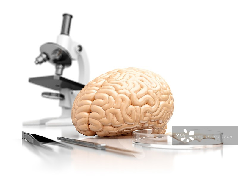 大脑研究概念插图图片素材