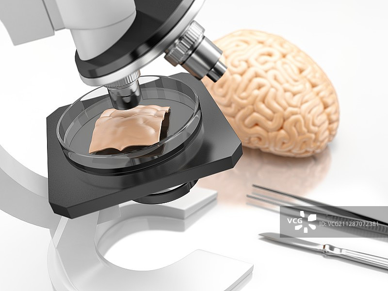 大脑研究概念插图图片素材