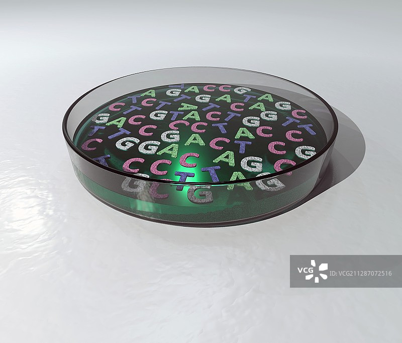 培养皿中的DNA字母插图图片素材