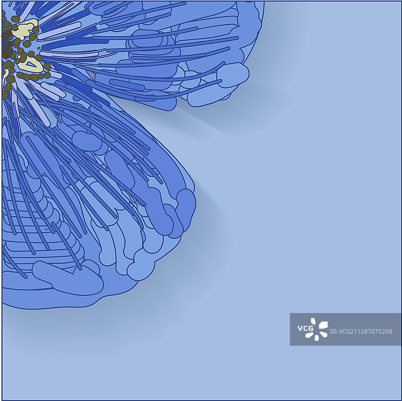 明信片广告设计模板图片素材