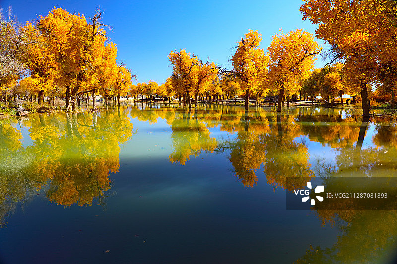 内蒙古阿拉善额济纳风光图片素材