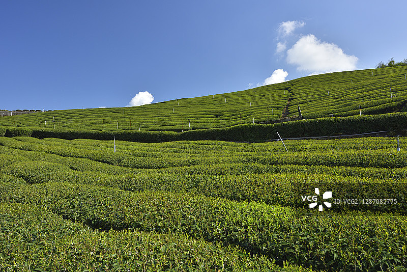 Zhuqi Township;Chiayi图片素材