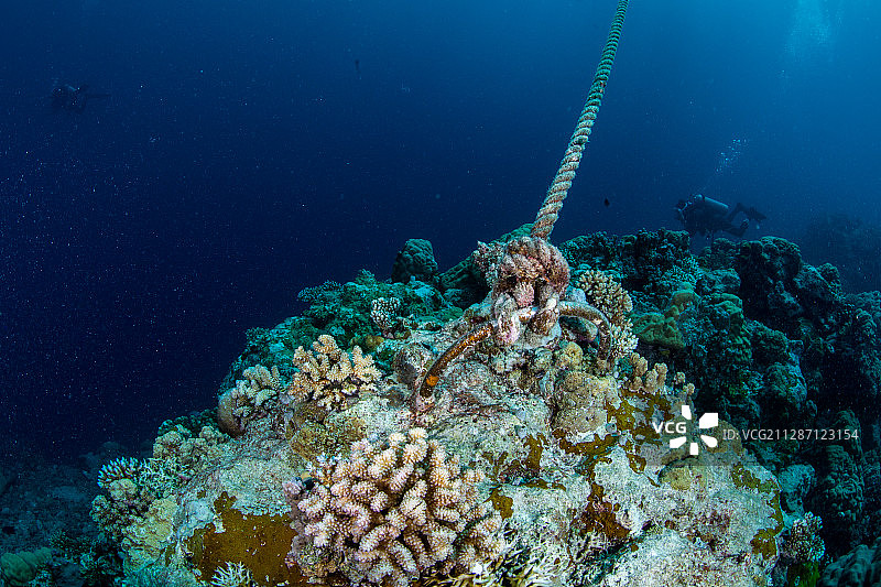 珊瑚礁和锚绳图片素材