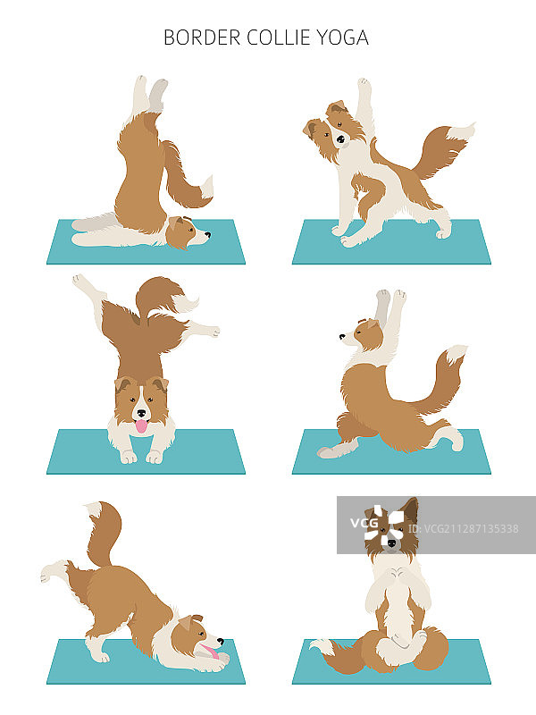 瑜伽犬姿势和锻炼海报设计图片素材