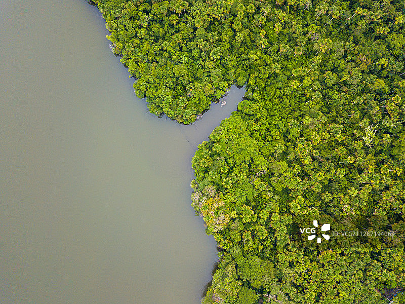 鸟瞰亚马逊图片素材