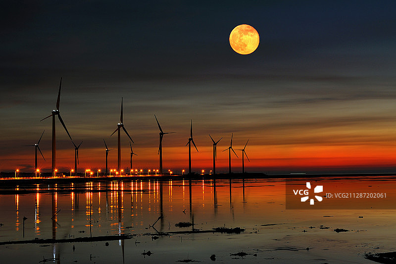 高美湿地图片素材