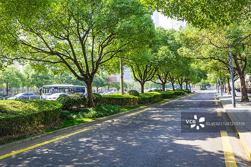 上海城市建筑风光图片素材