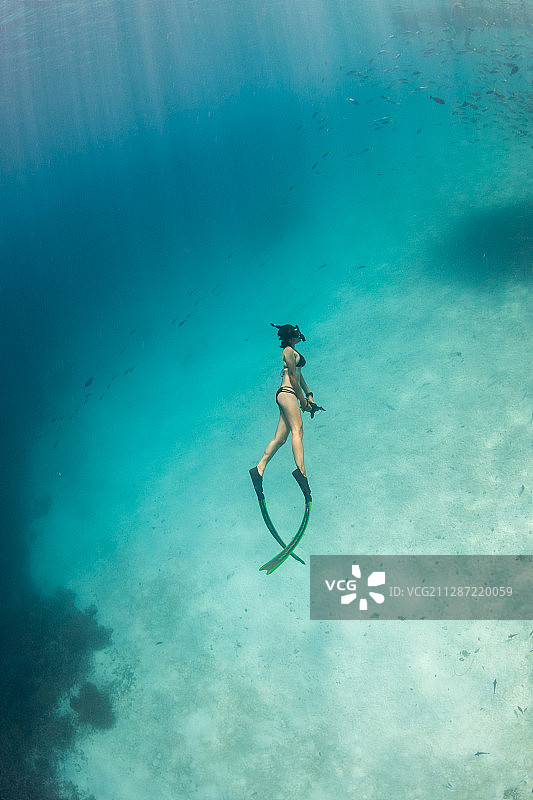 拿着相机的自由潜水员和鱼群图片素材